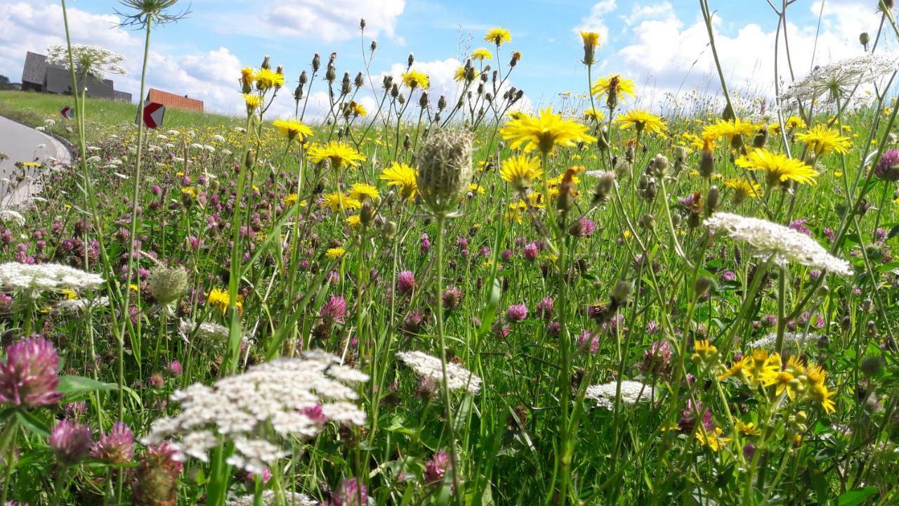 Gemuetliches Haeuschen Im Alten Land Jork Kültér fotó